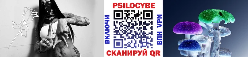 Псилоцибиновые грибы Psilocybine cubensis  Искитим 